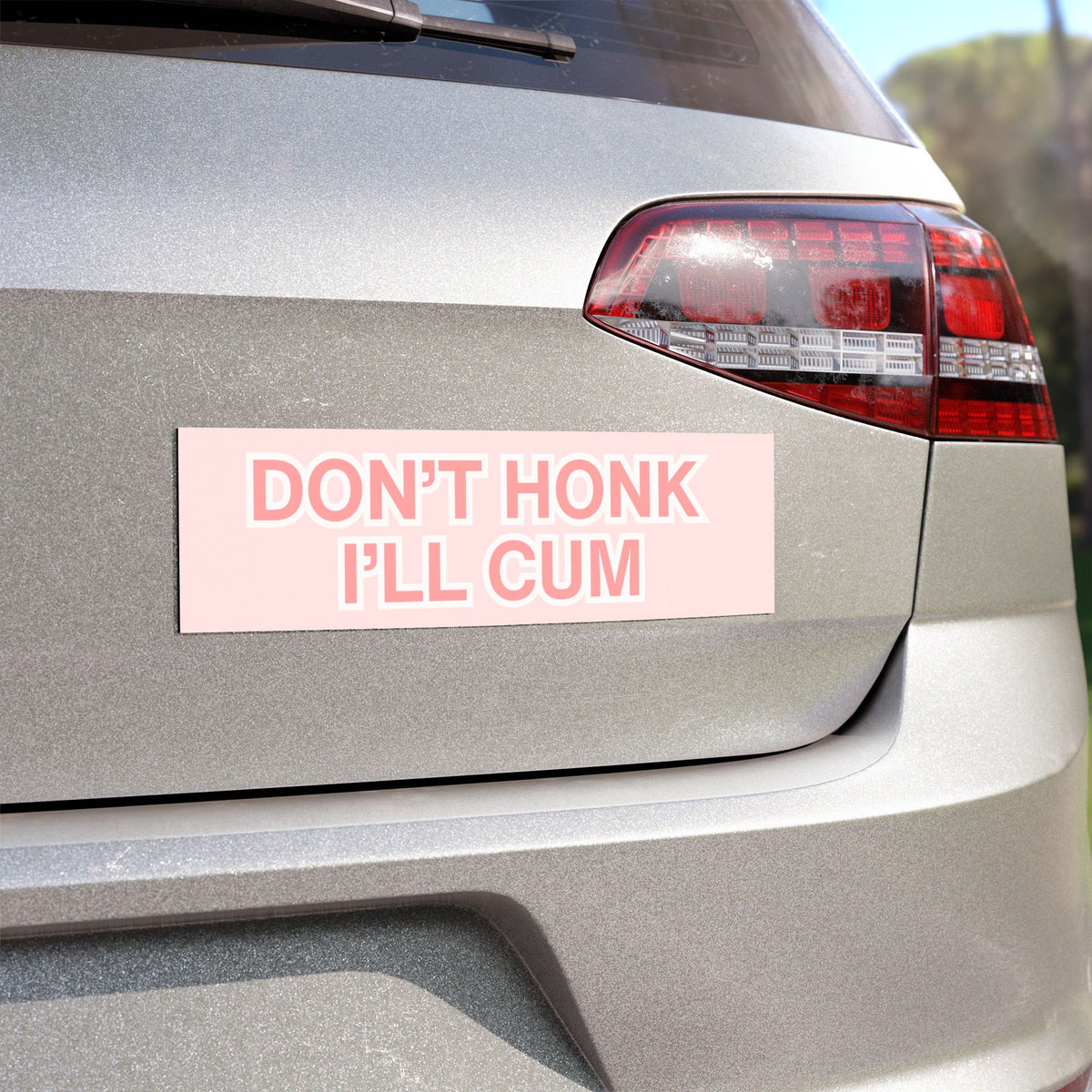 Don’t Honk I’ll Cum Bumper Magnet ( 10" x 3")