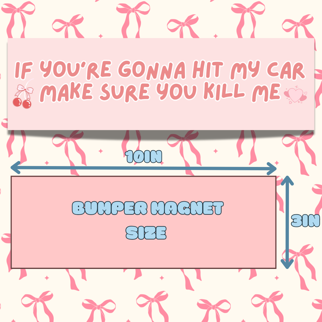 IF YOU'RE GOING TO HIT MY CAR MAKE SURE YOU KILL ME (BABY PINK)