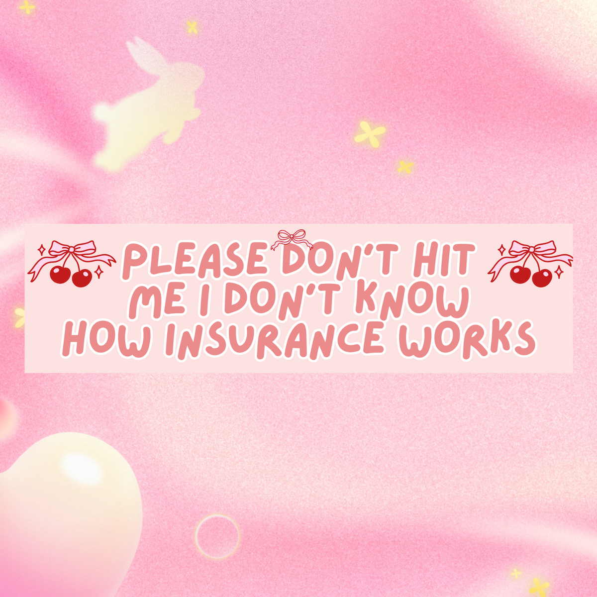 Please Don’t Hit Me I Don’t Know How Insurance Works 11x3 in Bumper Sticker (Matte Finish)