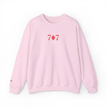 707  Light Pink Pullover Hachiko
